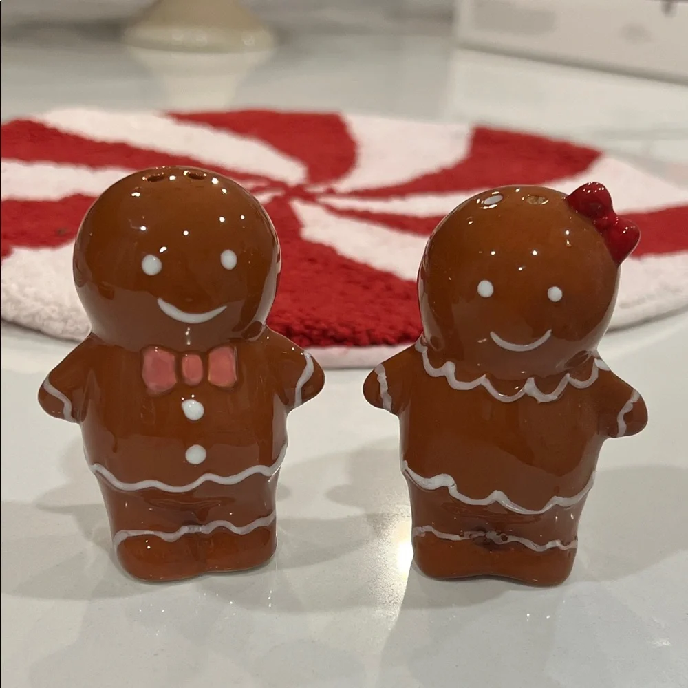 🫚Cute Gingerbread Sal & Pepper